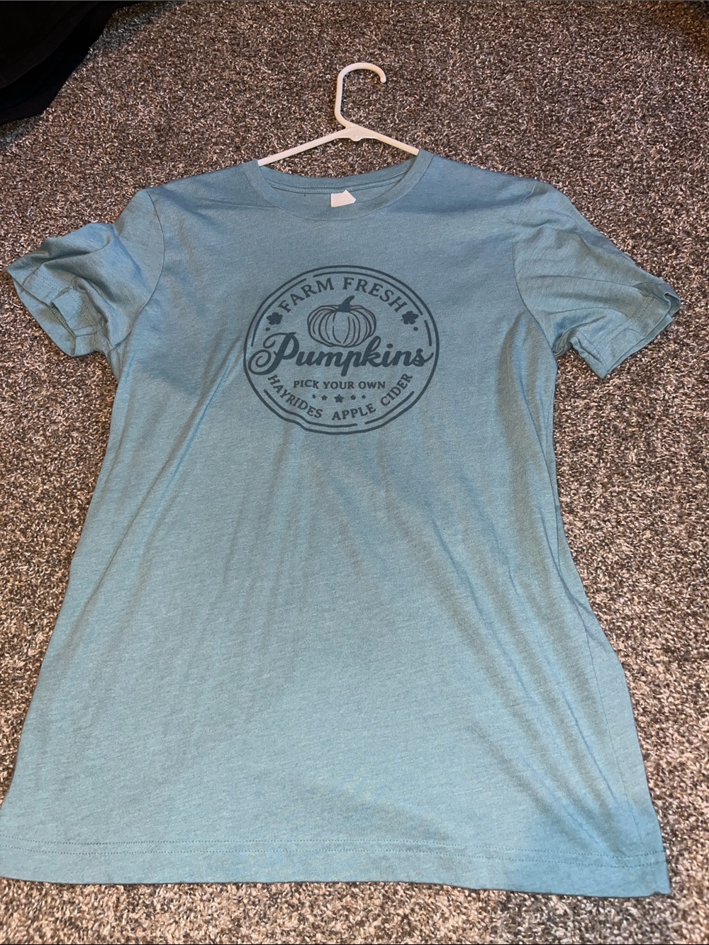 Bella Canvas Teal Blue 'Farm Fresh Pumpkins' Graphic Tee